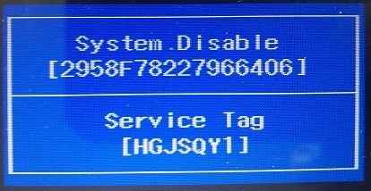 dell system disable password